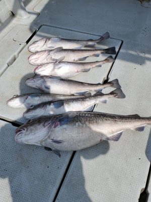 20200901_092515.jpg