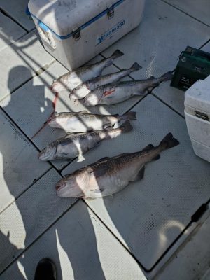 20200903_093233.jpg