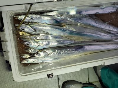 20201017_061534.jpg