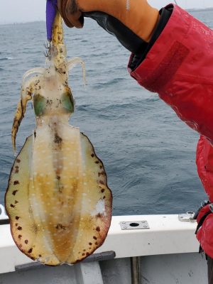 20201102_102230_2.jpg