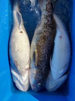 20201103_102059.jpg