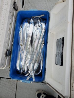 20201106_155922.jpg