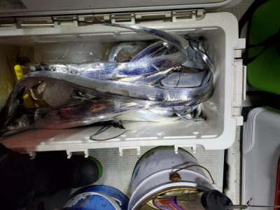20201107_055419.jpg