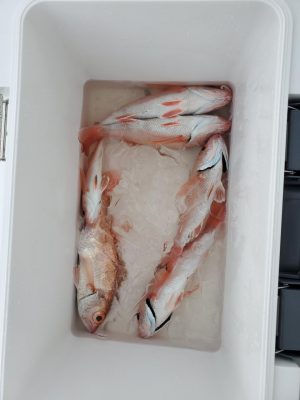 20201107_113746.jpg