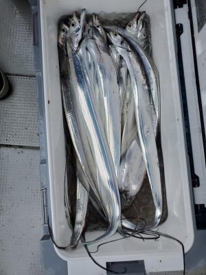 20201108_063419.jpg