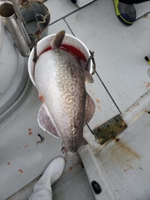 20201224_125925.jpg