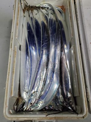 20201228_012513.jpg