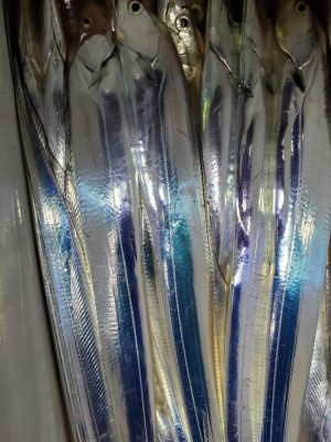 20201228_012549.jpg