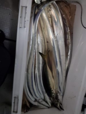 20201228_012655.jpg
