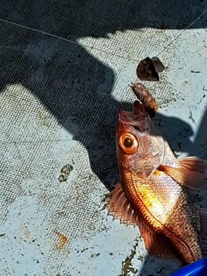 20220724_132003.jpg
