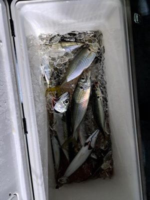 20220811_232712.jpg