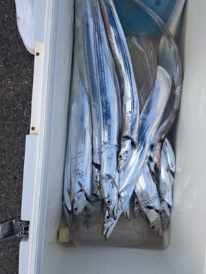 20261031_074027.jpg